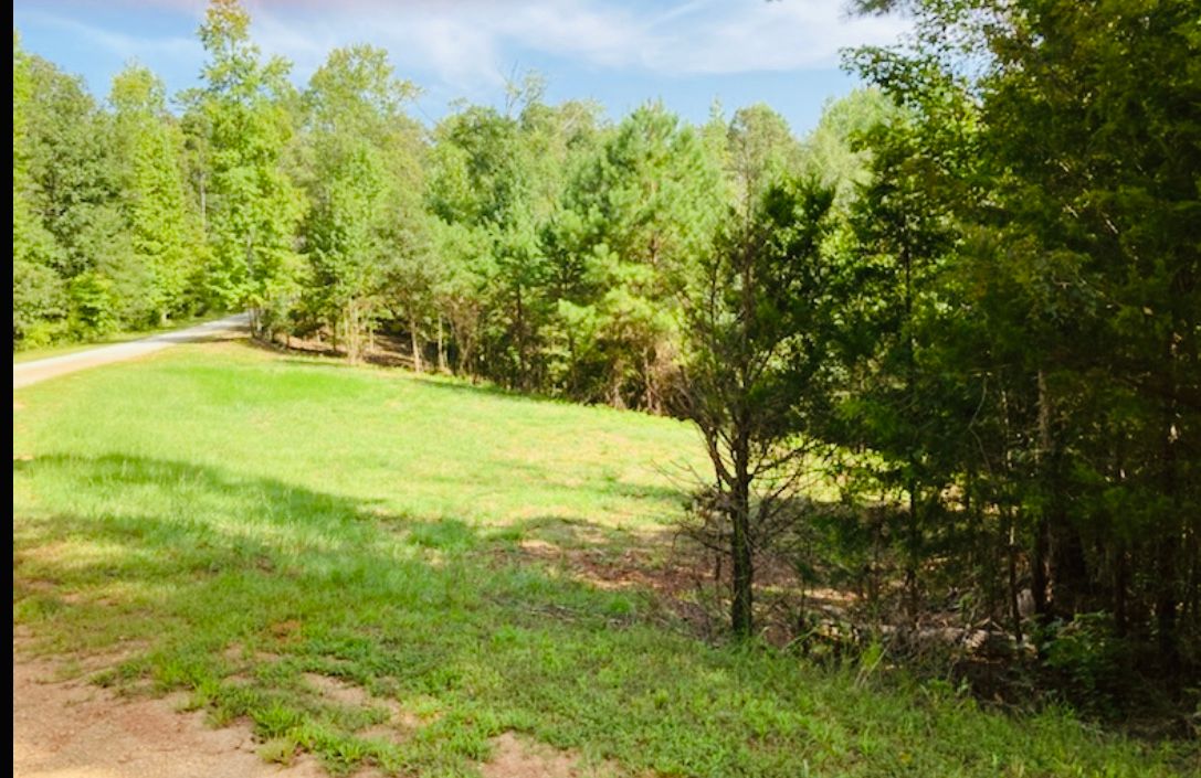 Lot 33 Woodgate Shores Dr: Lot 33 Woodgate Shores Dr, Wedowee, AL 36278